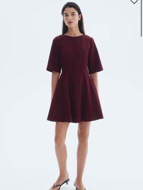 H&M Burgundy Short Sleeve Fit-and-Flare Mini Dress